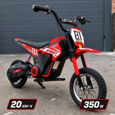 Скоростной электромотоцикл SX2468 24V 350W красный